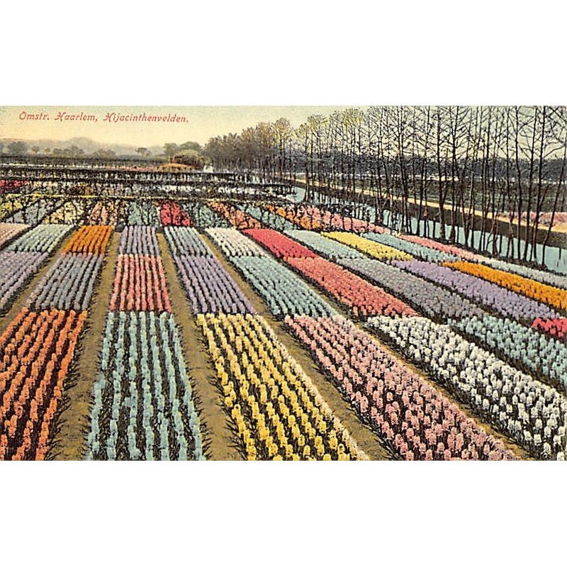 Rare collectable postcards of NETHERLANDS Nederland. Vintage Postcards of NETHERLANDS Nederland