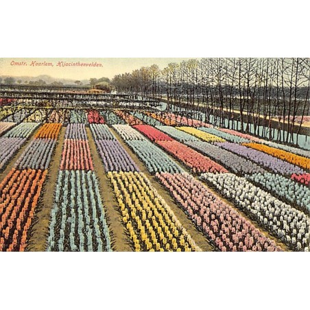 Rare collectable postcards of NETHERLANDS Nederland. Vintage Postcards of NETHERLANDS Nederland
