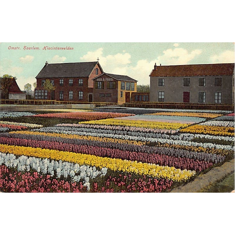 Rare collectable postcards of NETHERLANDS Nederland. Vintage Postcards of NETHERLANDS Nederland