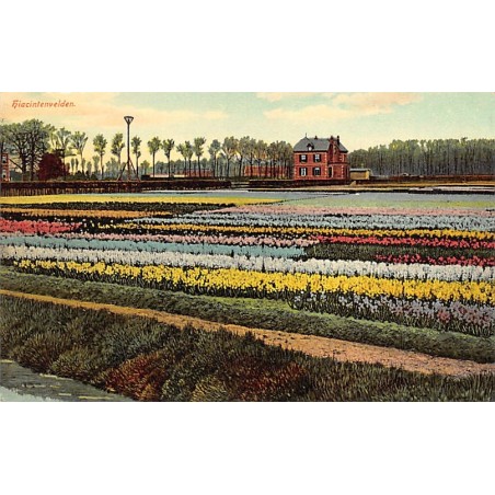 Rare collectable postcards of NETHERLANDS Nederland. Vintage Postcards of NETHERLANDS Nederland
