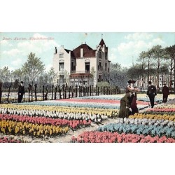 Rare collectable postcards of NETHERLANDS Nederland. Vintage Postcards of NETHERLANDS Nederland