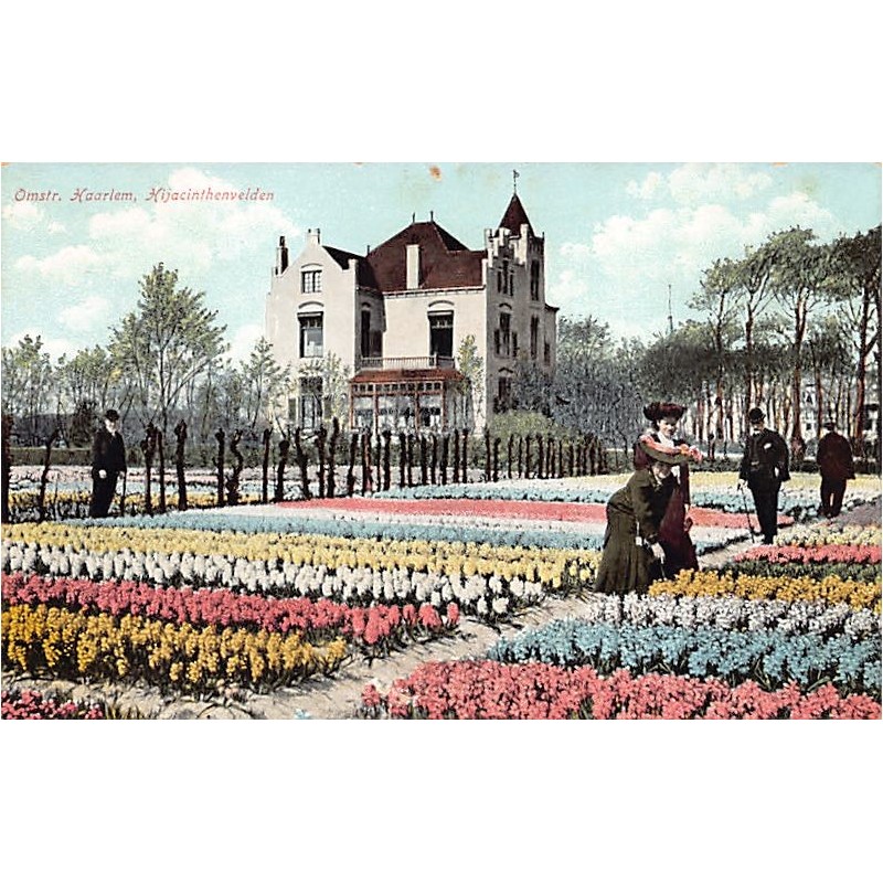 Rare collectable postcards of NETHERLANDS Nederland. Vintage Postcards of NETHERLANDS Nederland