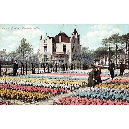 Rare collectable postcards of NETHERLANDS Nederland. Vintage Postcards of NETHERLANDS Nederland