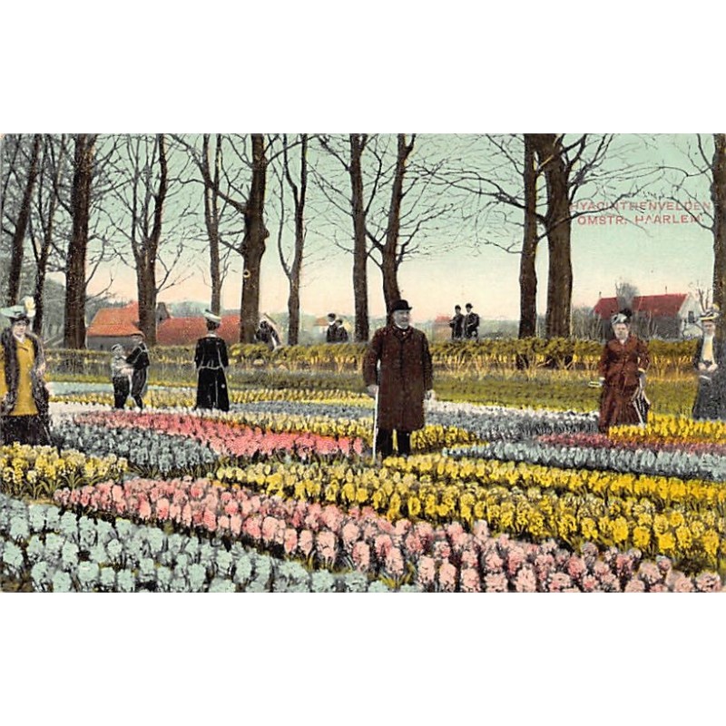 Rare collectable postcards of NETHERLANDS Nederland. Vintage Postcards of NETHERLANDS Nederland