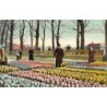 Rare collectable postcards of NETHERLANDS Nederland. Vintage Postcards of NETHERLANDS Nederland