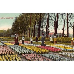 Rare collectable postcards of NETHERLANDS Nederland. Vintage Postcards of NETHERLANDS Nederland