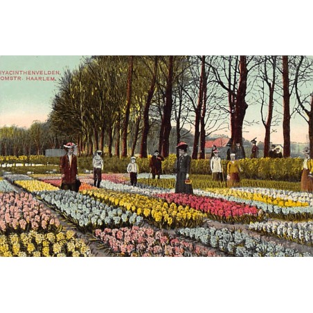 Rare collectable postcards of NETHERLANDS Nederland. Vintage Postcards of NETHERLANDS Nederland