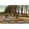Rare collectable postcards of NETHERLANDS Nederland. Vintage Postcards of NETHERLANDS Nederland