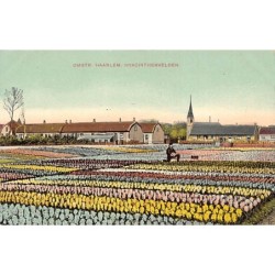 Rare collectable postcards of NETHERLANDS Nederland. Vintage Postcards of NETHERLANDS Nederland