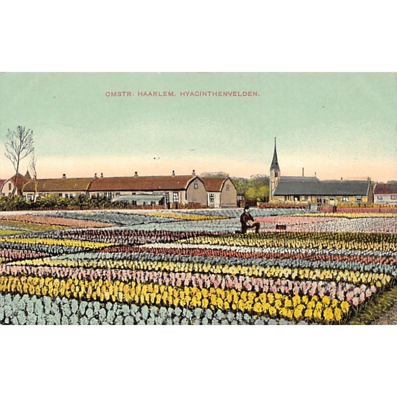 Rare collectable postcards of NETHERLANDS Nederland. Vintage Postcards of NETHERLANDS Nederland