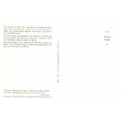 Rare collectable postcards of NETHERLANDS Nederland. Vintage Postcards of NETHERLANDS Nederland