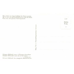 Rare collectable postcards of NETHERLANDS Nederland. Vintage Postcards of NETHERLANDS Nederland