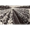 Rare collectable postcards of NETHERLANDS Nederland. Vintage Postcards of NETHERLANDS Nederland