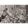 Rare collectable postcards of NETHERLANDS Nederland. Vintage Postcards of NETHERLANDS Nederland