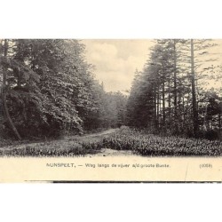 Rare collectable postcards of NETHERLANDS Nederland. Vintage Postcards of NETHERLANDS Nederland