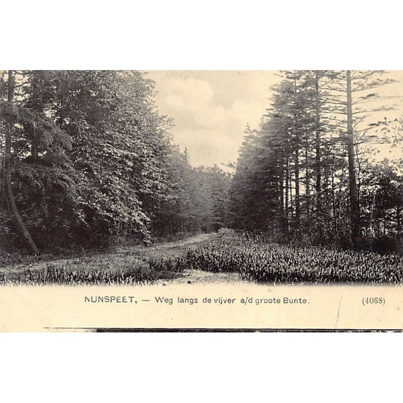 Rare collectable postcards of NETHERLANDS Nederland. Vintage Postcards of NETHERLANDS Nederland