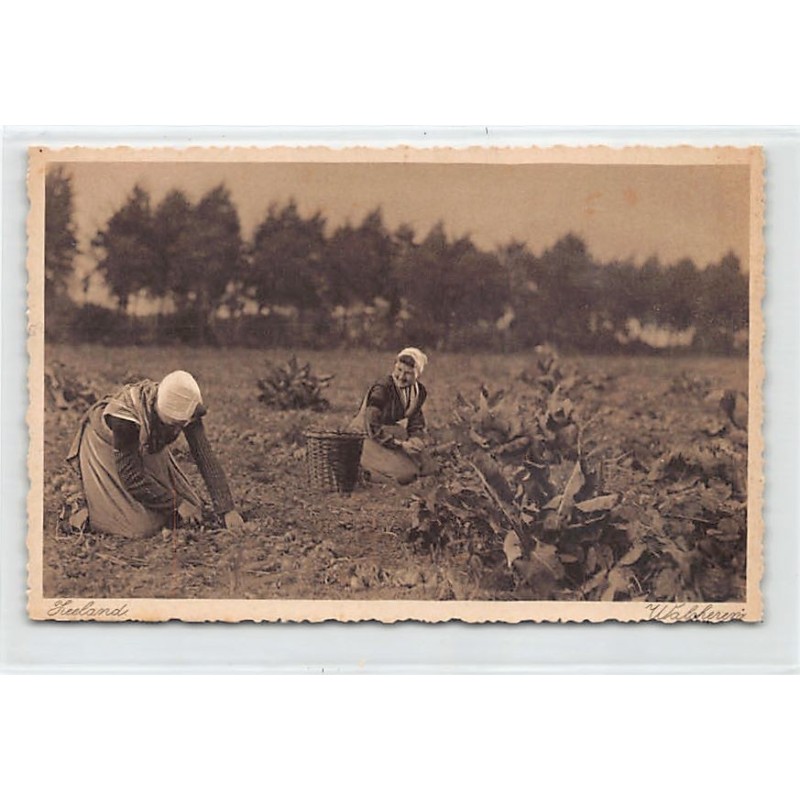 Rare collectable postcards of NETHERLANDS Nederland. Vintage Postcards of NETHERLANDS Nederland