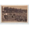 Rare collectable postcards of NETHERLANDS Nederland. Vintage Postcards of NETHERLANDS Nederland