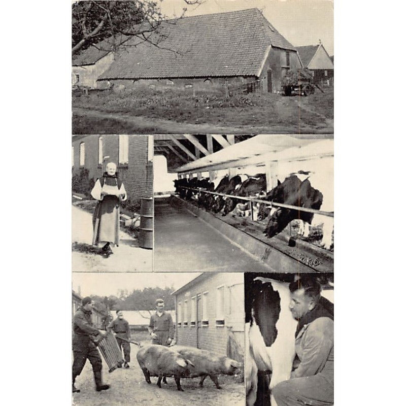 Rare collectable postcards of NETHERLANDS Nederland. Vintage Postcards of NETHERLANDS Nederland