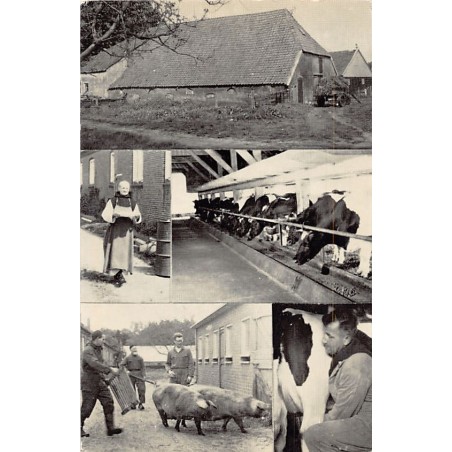 Rare collectable postcards of NETHERLANDS Nederland. Vintage Postcards of NETHERLANDS Nederland