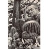 Rare collectable postcards of NETHERLANDS Nederland. Vintage Postcards of NETHERLANDS Nederland