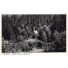 Rare collectable postcards of AUSTRIA. Vintage Postcards of AUSTRIA