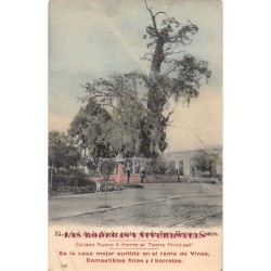 Rare collectable postcards of MEXICO. Vintage Postcards of MEXICO