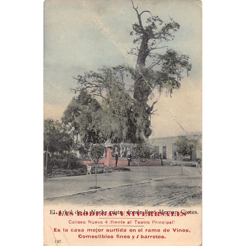 Rare collectable postcards of MEXICO. Vintage Postcards of MEXICO