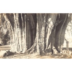 Rare collectable postcards of MEXICO. Vintage Postcards of MEXICO