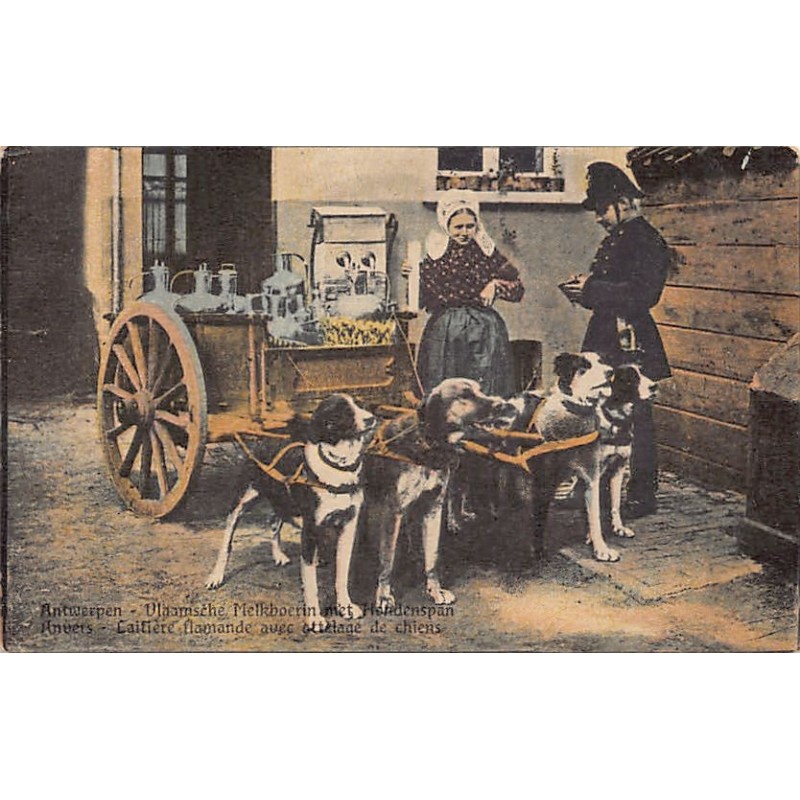 Rare collectable postcards of BELGIUM Belgique België. Vintage Postcards of BELGIUM Belgique België