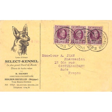 Rare collectable postcards of BELGIUM Belgique België. Vintage Postcards of BELGIUM Belgique België