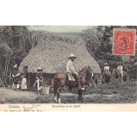 Rare collectable postcards of MEXICO. Vintage Postcards of MEXICO
