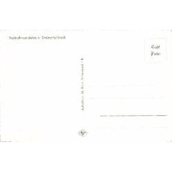 Rare collectable postcards of GERMANY Deutschland. Vintage Postcards of GERMANY Deutschland