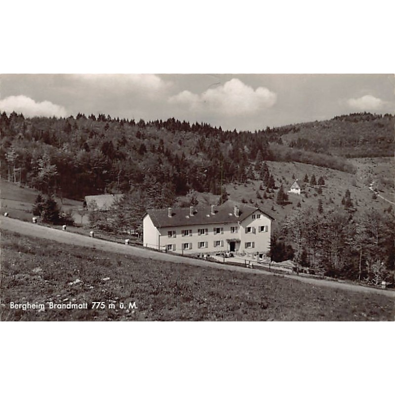 Rare collectable postcards of GERMANY Deutschland. Vintage Postcards of GERMANY Deutschland