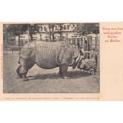 Rare collectable postcards of GERMANY Deutschland. Vintage Postcards of GERMANY Deutschland