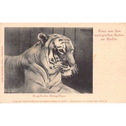 Rare collectable postcards of GERMANY Deutschland. Vintage Postcards of GERMANY Deutschland