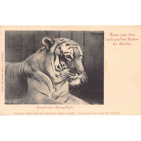 Rare collectable postcards of GERMANY Deutschland. Vintage Postcards of GERMANY Deutschland