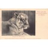 Rare collectable postcards of GERMANY Deutschland. Vintage Postcards of GERMANY Deutschland