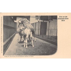 Rare collectable postcards of GERMANY Deutschland. Vintage Postcards of GERMANY Deutschland