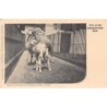Rare collectable postcards of GERMANY Deutschland. Vintage Postcards of GERMANY Deutschland