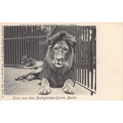 Rare collectable postcards of GERMANY Deutschland. Vintage Postcards of GERMANY Deutschland