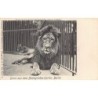 Rare collectable postcards of GERMANY Deutschland. Vintage Postcards of GERMANY Deutschland