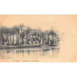 Rare collectable postcards of EGYPT. Vintage Postcards of EGYPT