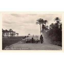 Rare collectable postcards of EGYPT. Vintage Postcards of EGYPT