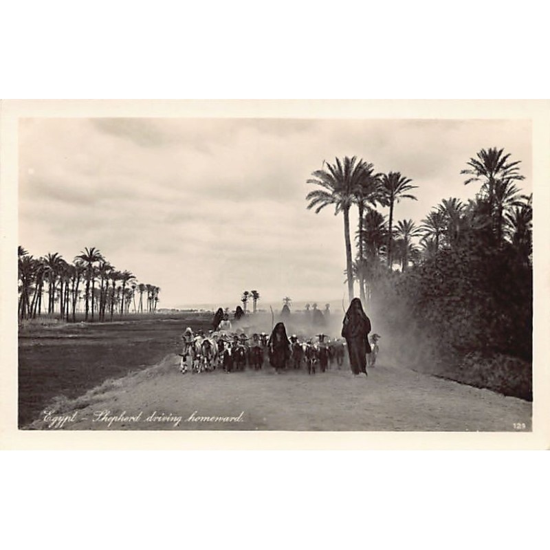 Rare collectable postcards of EGYPT. Vintage Postcards of EGYPT