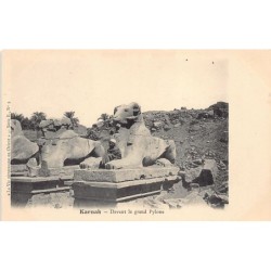 Rare collectable postcards of EGYPT. Vintage Postcards of EGYPT
