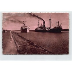 Rare collectable postcards of EGYPT. Vintage Postcards of EGYPT