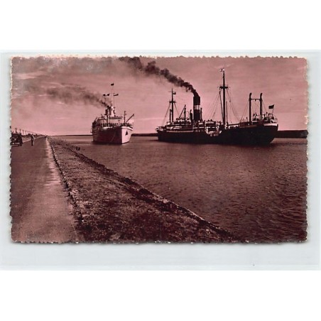 Rare collectable postcards of EGYPT. Vintage Postcards of EGYPT