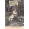 Rare collectable postcards of MADAGASCAR. Vintage Postcards of MADAGASCAR