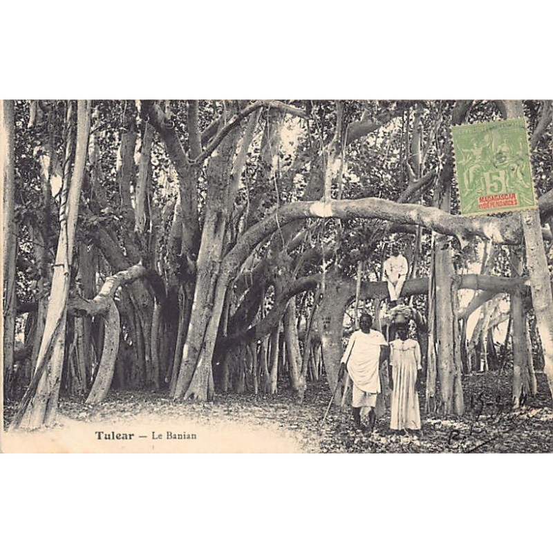 Rare collectable postcards of MADAGASCAR. Vintage Postcards of MADAGASCAR